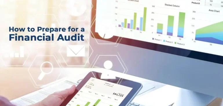financial audit services